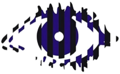 Big Brother